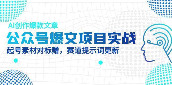 （14709期）公众号爆文项目实战，AI创作爆款文章，起号素材对标赠（附赛道AI提示词）-资源村