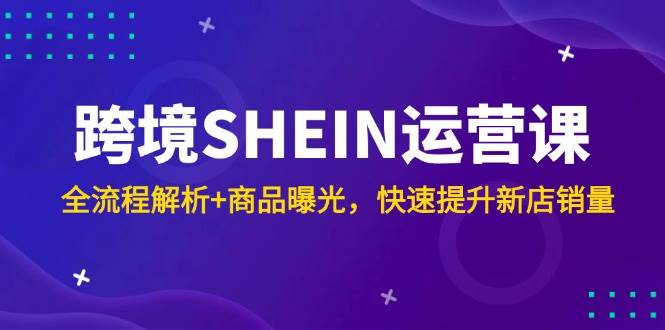 （14832期）跨境SHEIN运营课，全流程解析+商品曝光，快速提升新店销量-资源村