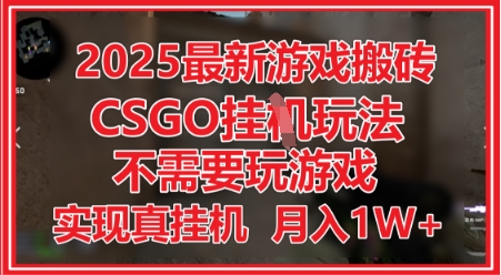 2025最新游戏搬砖，CSGO挂G，不需要玩游戏，实现真挂G，月入1W+【揭秘】-资源村