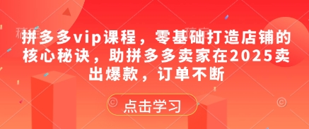 拼多多vip课程，零基础打造店铺的核心秘诀，助拼多多卖家在2025卖出爆款，订单不断-资源村