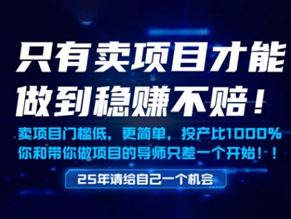 只有卖项目才能做到稳挣不赔，门槛低，更简单，你也可以年入百个W【揭秘】-资源村