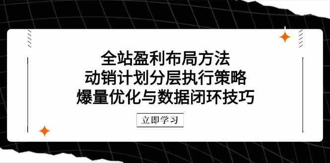 全站盈利布局方法：动销计划分层执行策略，爆量优化与数据闭环技巧-资源村