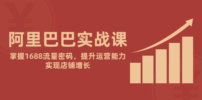 （14830期）阿里巴巴实战课：掌握1688流量密码，提升运营能力，实现店铺增长-资源村