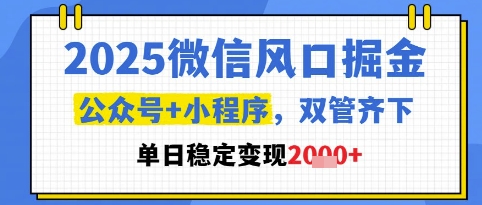 2025微信风口掘金，公众号+小程序双管齐下，单日稳定变现1k+【揭秘】-资源村