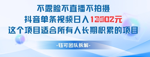 不露脸不直播不拍摄抖音单条视频日入1k+这个项目适合所有人长期积累的项目-资源村