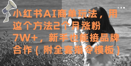 小红书AI商单玩法，用这个方法2个月涨粉7W+，新手也能接品牌合作(附全套指令模板)-资源村