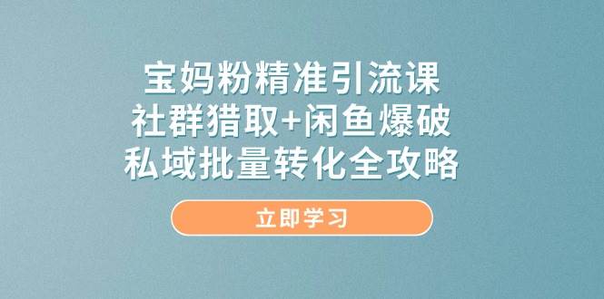 宝妈粉精准引流课，社群猎取+闲鱼爆破，私域批量转化全攻略-资源村