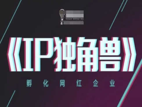 IP独角兽，孵化网红企业，ip教程-资源村