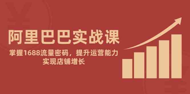 阿里巴巴实战课：掌握1688流量密码，提升运营能力，实现店铺增长-资源村