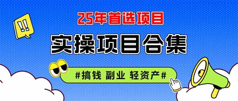 （14767期）2025实操项目合集 挂机类型 直播类型 轻资产创业类型 课程分享各项目介…-资源村