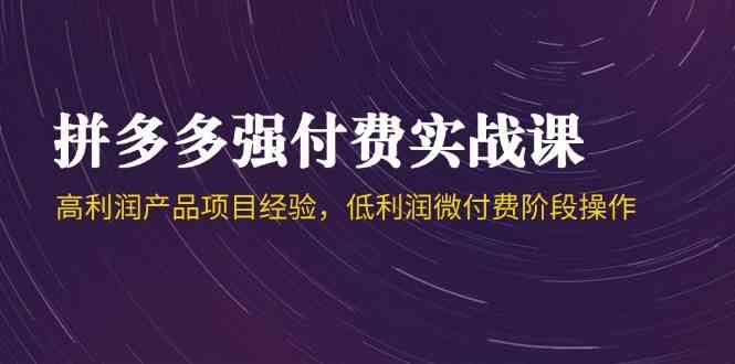 拼多多强付费实战课-44期，高利润产品项目经验，低利润微付费阶段操作-资源村