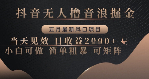 抖音无人撸音浪掘金，五月最新风口项目，当天见效，日收益多张，小白可做简单粗暴可矩阵【揭秘】-资源村
