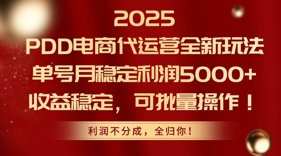 （14839期）2025PDD电商代运营全新玩法，单号月稳定利润5000+，收益稳定，可批量操作-资源村