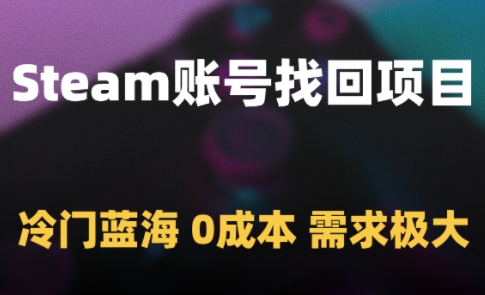 Steam账号找回项目，冷门蓝海，0成本，需求极大-资源村