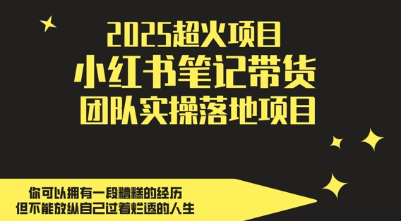 2025超火项目，副业最佳选择，小红书笔记带货团队实操落地项目，，轻松日入5张-资源村
