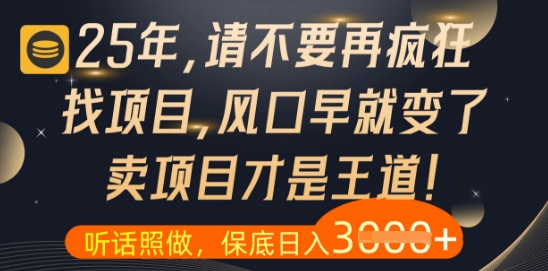 什么？25年你还在疯狂找项目做，醒醒吧，看完这些你全都懂了【揭秘】-资源村