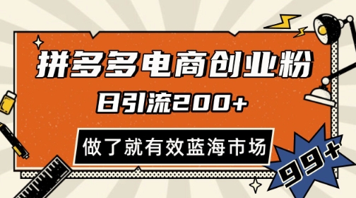 拼多多引流电商创业粉，日引200+，可矩阵放大，做了就有效【揭秘】-资源村