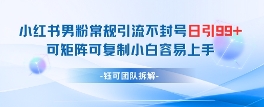 小红书男粉常规引流不封号日引99+变现简单 可矩阵可复制小白容易上手-资源村