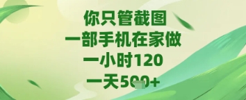 你只管截图，一部手机在家做，苹果安卓都可以，一天5张+【揭秘】-资源村