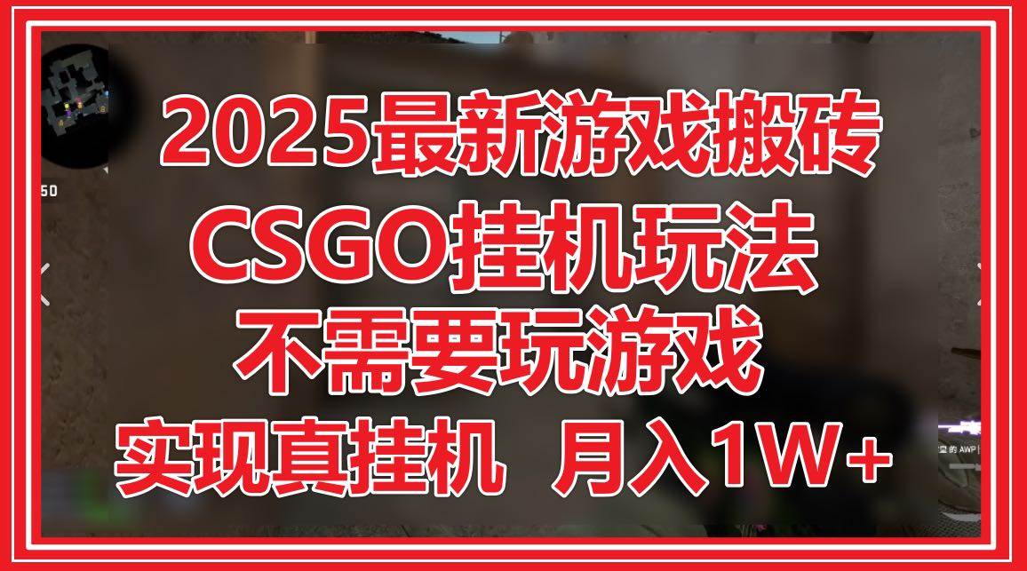 （14743期）2025最新游戏搬砖，CSGO挂机，不需要玩游戏，实现真挂机，月入1W+-资源村