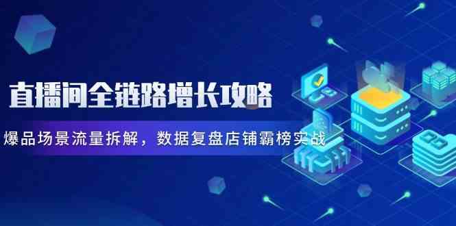 直播间全链路增长攻略，爆品场景流量拆解，数据复盘店铺霸榜实战-资源村