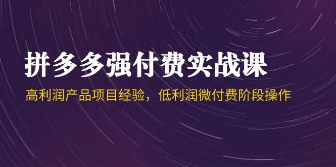 （14874期）拼多多强付费实战课-44期，高利润产品项目经验，低利润微付费阶段操作-资源村