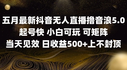2025五月最新无人直播撸音浪单日产出5张+实操教程【揭秘】-资源村