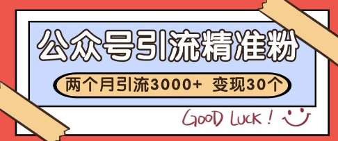 公众号精准粉引流玩法，2个月3000+精准粉，变现30个W【揭秘】-资源村