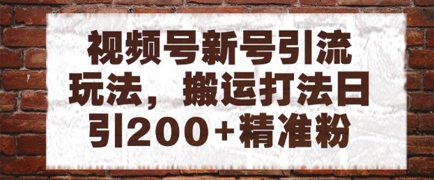 视频号新号引流玩法，搬运打法日引200+精准粉，可矩阵放大【揭秘】-资源村